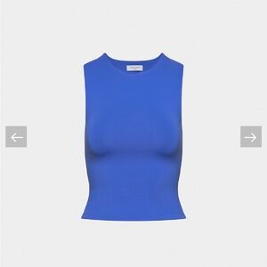 Aritzia Royal Blue Tank Top